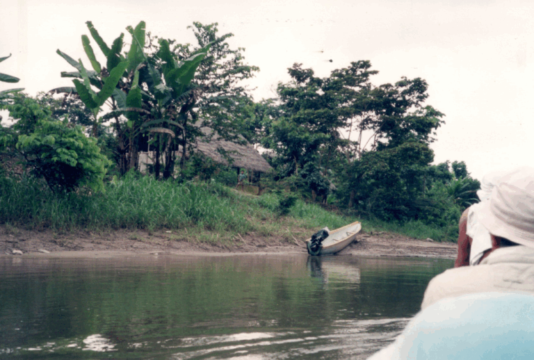 Remontando el río para visitar aldeas en la selva Amazonas