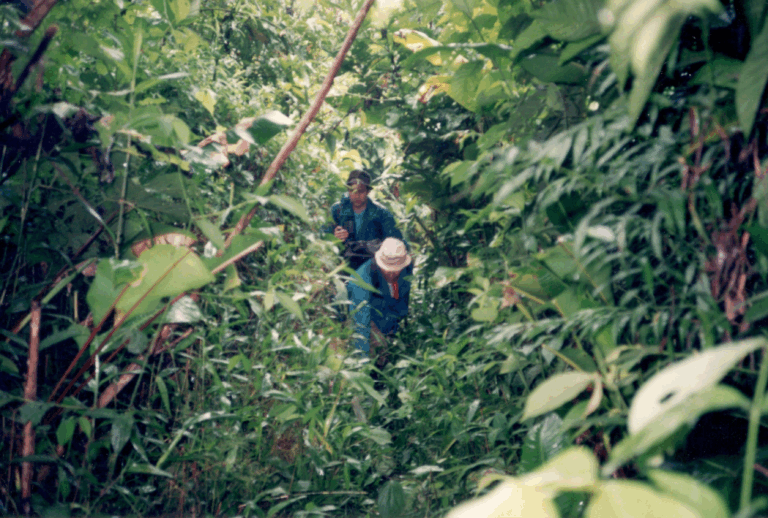 Avanzando a machetazo por la selva Andina