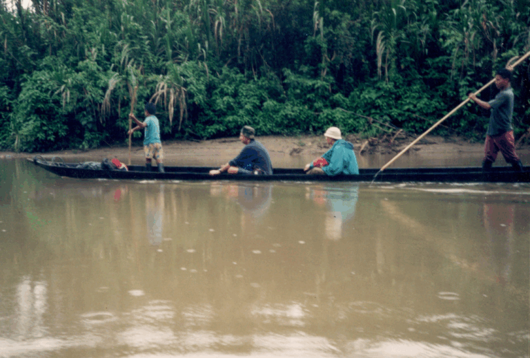 Los efectos de la humedad el río de la selva Andina